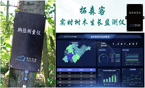 實時樹木生長監(jiān)測儀
