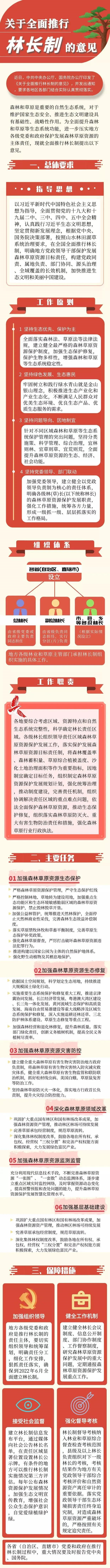 一圖讀懂中央《關于全面推行林長制的意見》(圖1)