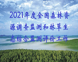 自然資源部辦公廳 國家林業和草原局辦公室關于統籌推進2021年度全國森林資源調查監測和林草生態綜合監測評價工作的通知